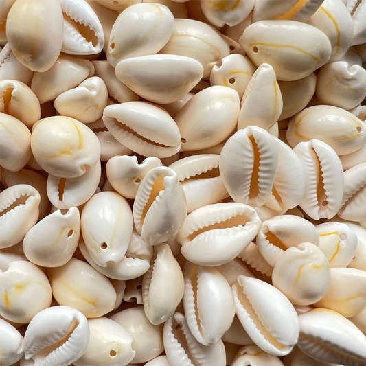 10pcs Small Bulk Cut Sea Beige Cowrie Shell Beads Beach for DIY Jewelry Gift