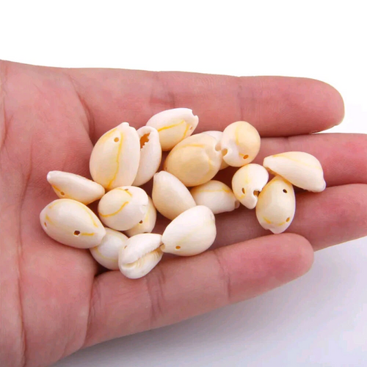10pcs Small Bulk Cut Sea Beige Cowrie Shell Beads Beach for DIY Jewelry Gift