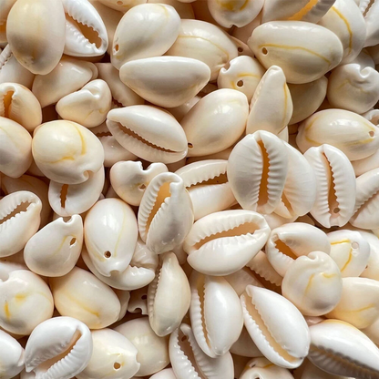 10pcs Small Bulk Cut Sea Beige Cowrie Shell Beads Beach for DIY Jewelry Gift