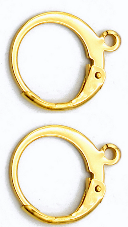 20pcs Lever Back Earring Hooks Stainless Steel (Gold/Silver) | Ear Wali