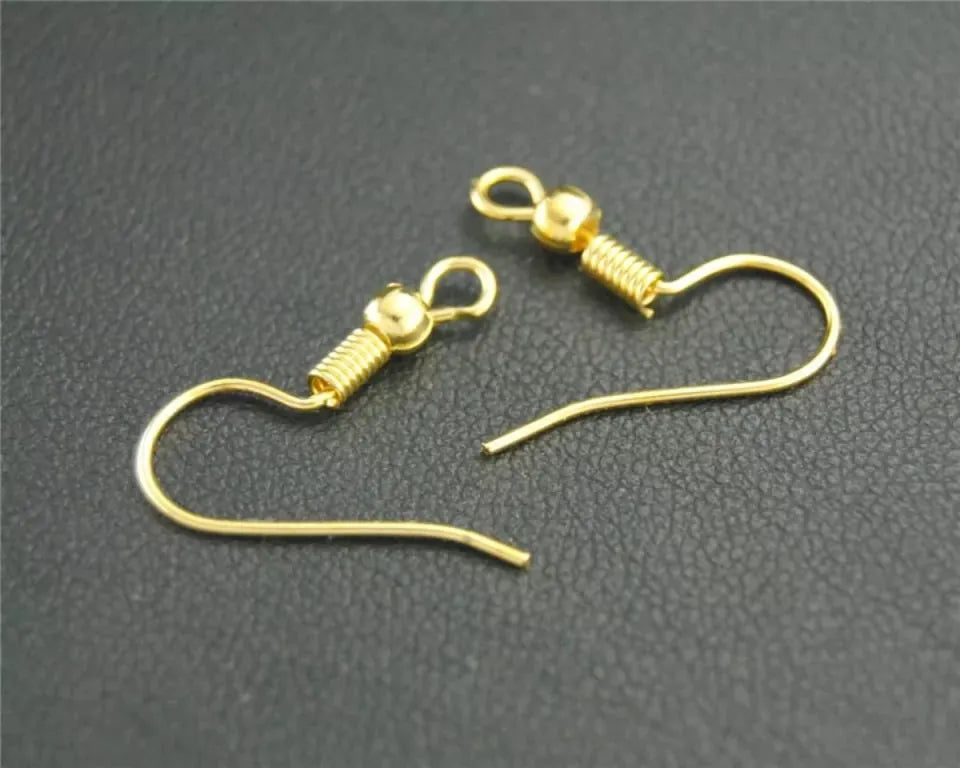 Earring Fish hooks